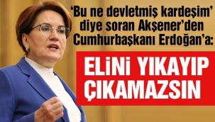 İYİ Parti Genel Bakanı Akşener'den Erdoğan'a: Elini yıkayıp çıkamazsın