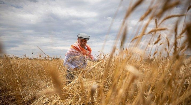 İzmir Büyükşehir Belediyesi'nden tarıma destek