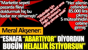 Meral Akşener'den Erdoğan'a: Hangi yüzle helallik istiyorsun kardeşim?