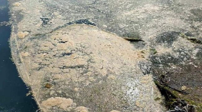 Marmaradaki deniz salyası Karadenize sıçradı!