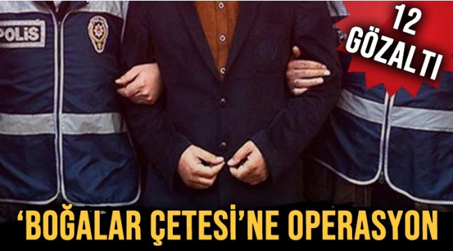 Ankarada, "Boğalar Çetesi" suç örgütüne "Matador Operasyonu"
