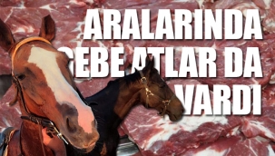 Yılkı atlarını et firmasına Tarım Bakanlığının verdiği ortaya çıktı