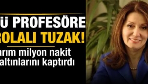 Profesör Ayşe Nilüfer Narlı yarım milyon nakit ve ziynet eşyalarını kaptırdı