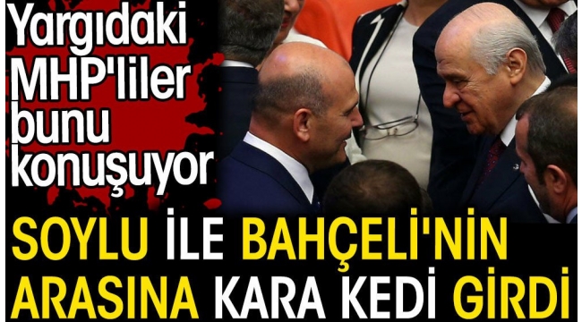 Soylu ile Bahçelinin arasına kara kedi girdi. Yargıdaki MHPliler bunu konuşuyor. Barış Pehlivan açıkladı