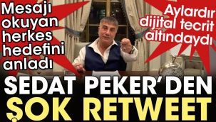 Sedat Peker'den şok retweet. Mesajı okuyan herkes hedefini anladı