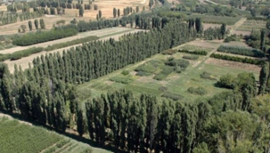 Yargı kararını verdi: Atatürk Orman Çiftliği'nde plan değişikliğiyle vakfa kiralanan alana iptal