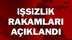 2023 Kasım ayı işsizlik rakamları açıklandı