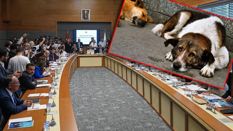 Sokak Hayvanlarının Öldürülmesini Öngören Teklifin Görüşmeleri Ertelendi!