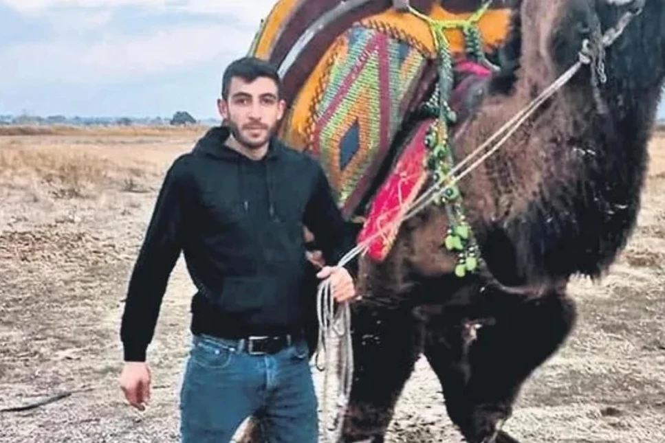 Çanakkale'de deve güreşi anlaşmazlığı kanlı bitti