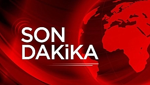 MİT'ten flaş operasyon: Daltonlar Suç Örgütü'nün yöneticisi Ahmet Mustafa Timo yakalandı