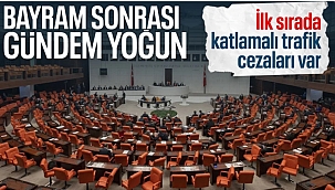 Trafik cezaları artırılacak: Teklif, Genel Kurul'da görüşülecek 