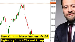 Tera Yatırım hissesi neden düştü? 6 günde yüzde 46'lık sert kayıp